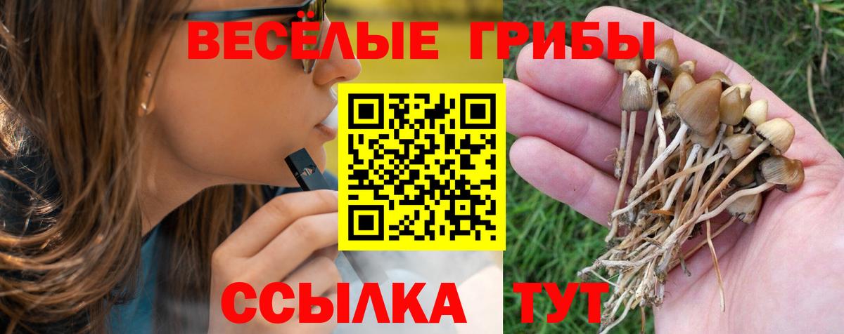 Муром  Псилоцибиновые грибы Psilocybine cubensis  Вход с VPN 